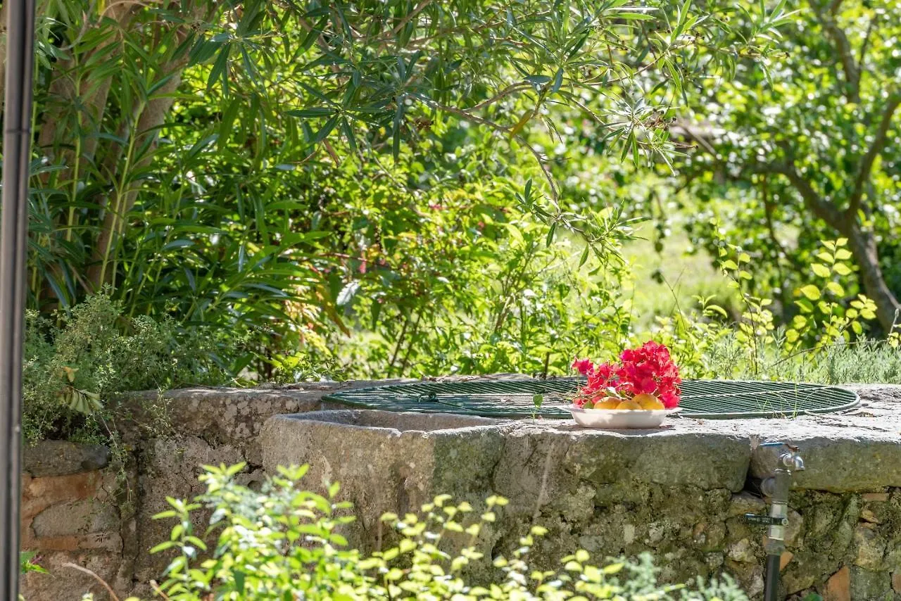 Soller House Close To The Center, Large Flat Orchard And Pool. إسبانيا