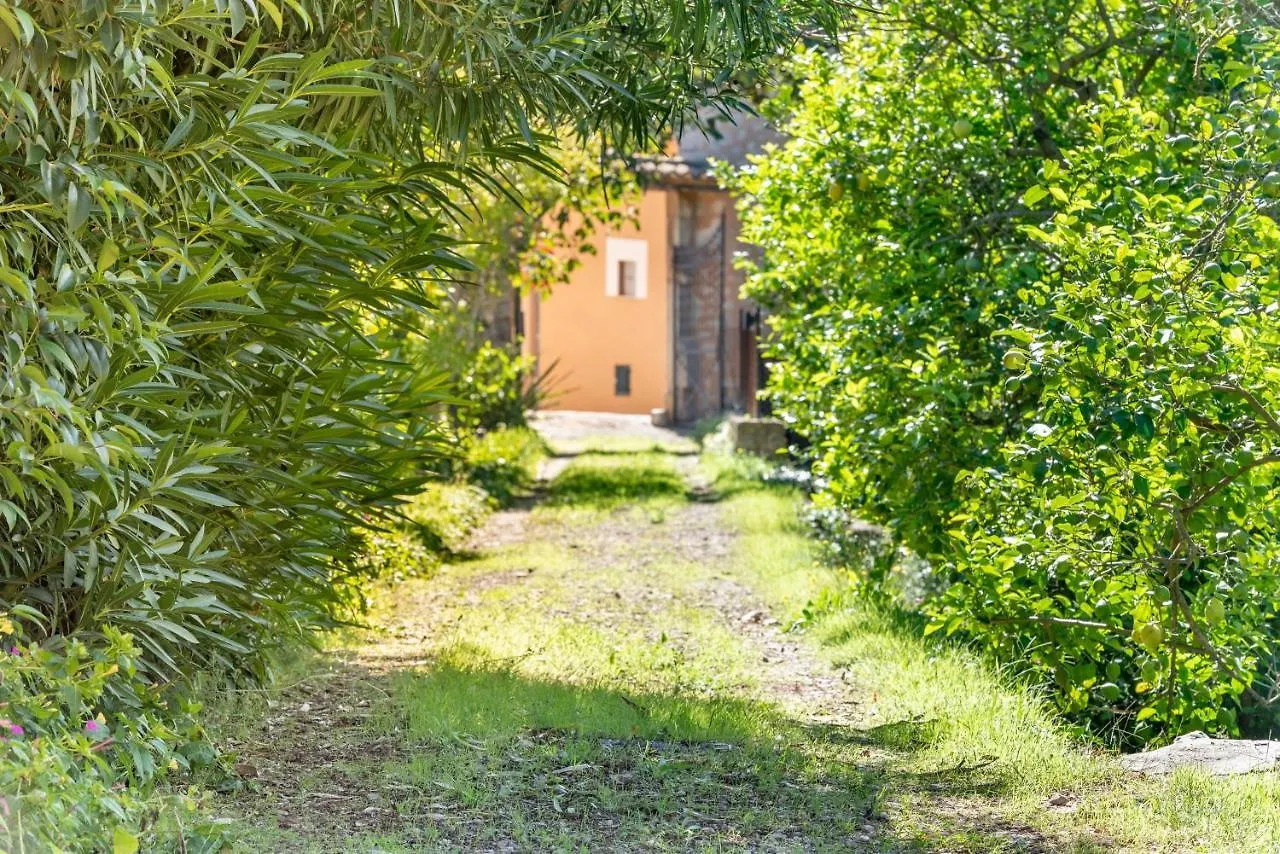 Soller House Close To The Center, Large Flat Orchard And Pool.